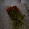 jlrifaislam7