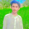 sheheryar78690