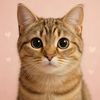 Purrfectlyfine