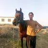 user5944798874805