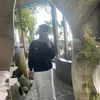 hphucdisilo
