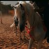sudais.khan.sudai42