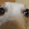 jxrdan_nr2