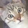 harolmzvwtp