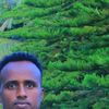 mohammed.yasine2