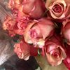 bongi_athome