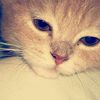 kanarrygmail.com2