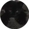 .paulyi