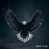 asad.virk67