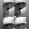aylin_1235689