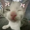 milanka_._8