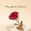 user22021813443452