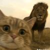 sandy_kj895