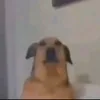 unknown_maboy