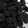 rabia.jutt906