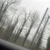 mannie_073