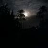 ibrahem.mohamed049