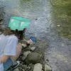 alex_201336