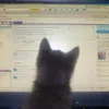 attack.aura
