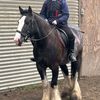 equestrian.emily12