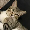 lilian.thaiszz