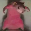phmquan12
