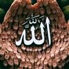 jaaltuusunaarasuulullaah