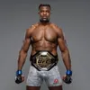 francis.ngannou84