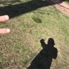 julietaa266