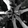soo