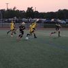noah_con33