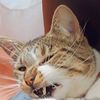 migue03322