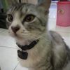 ray.sukma1