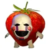 .jennlestudante