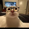 anna.wx5
