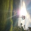 lachie234