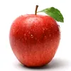 apple_certified0