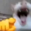_thang_nek_