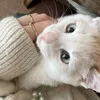 adinkaciew_