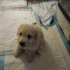 eduardo.barrera.w