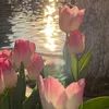 tulips1ee