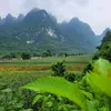 ninh.nhn.dng