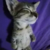 sledak_2