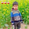 faisalabbas6279