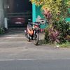 halo.dekk5