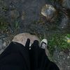 gauk_515