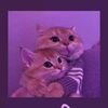 user68887226915513