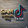 sam.burmesevlog