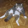 abcdefghijklmnopq0836