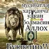 uzb2068